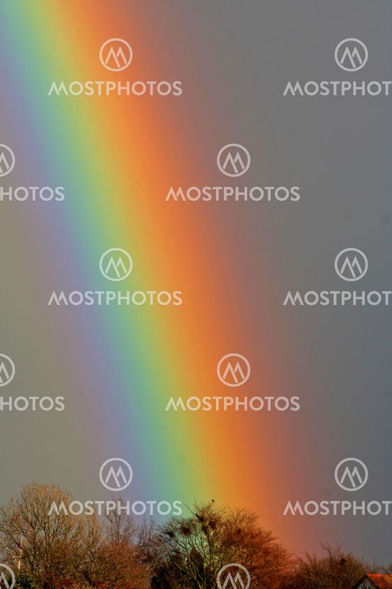 Rainbow_10