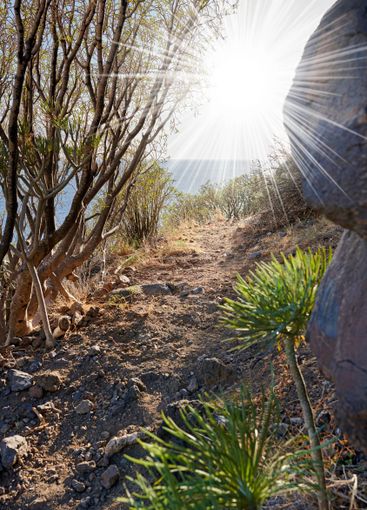 Sunshine, nature and sea with trail on mountain for...