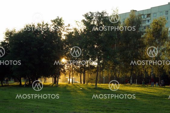 Green lawn in city park