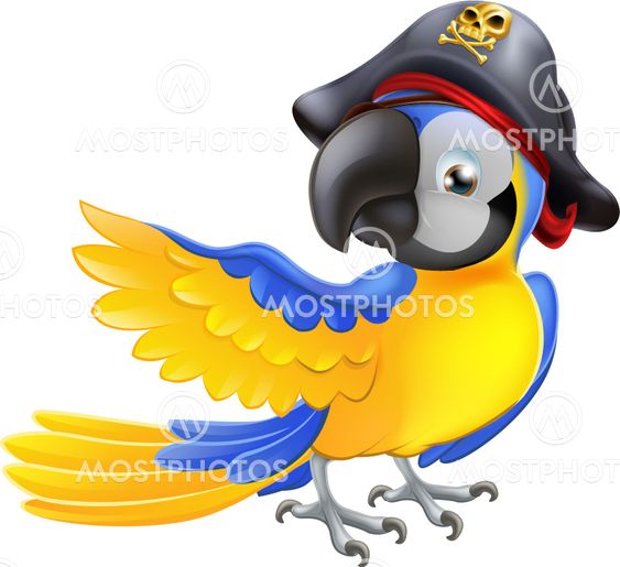 Parrot pirate character