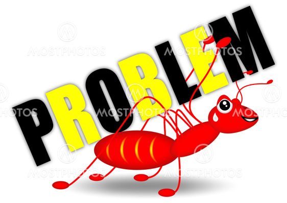 color red ant