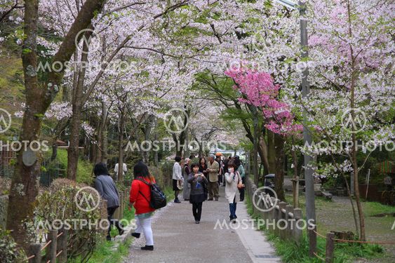 Kyoto people