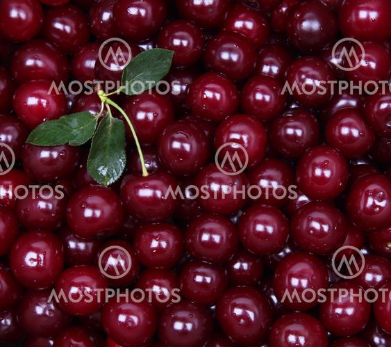 Wet ripe red cherries as background