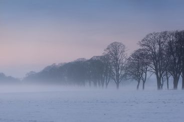 Icecold winter evening