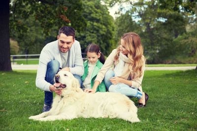 happy family with labrador retriever dog in park