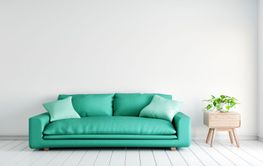 Green sofa with plants table on empty white wall in...