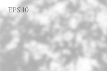 Transparent natural plant shadow. Light effect overlay....