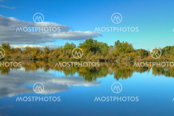 Reflections of trees in a river