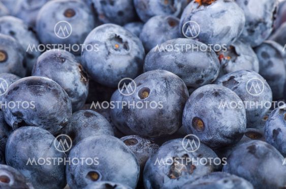 Bilberries background