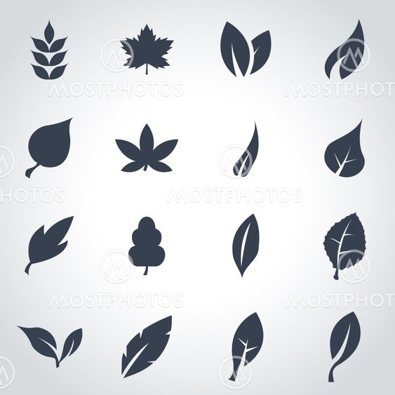 Vector black leaf icon set