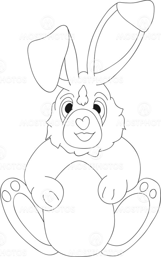 rabbit