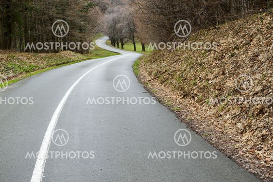 Curvy road