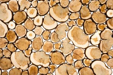 Wood panel from sections of a trunk of a juniper tree....