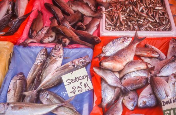 Fish at the fish market