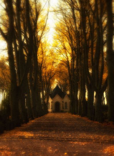 Church yard, Sweden