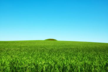 Blue sky, grass and green field with hill landscape for...
