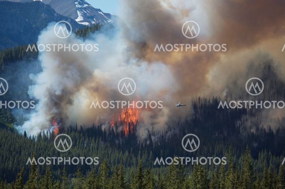 Forest fire in the Rocky Mountains