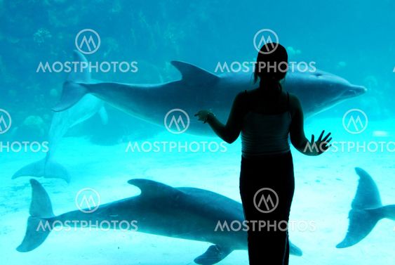 Girl and the dolphins