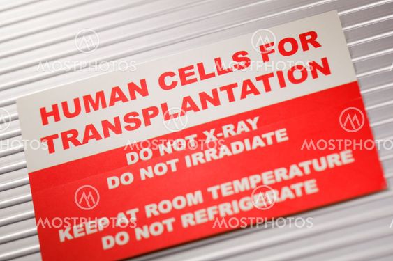 Mänskliga celler för Transplantation