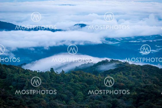 Sunrise over jungle in cameron highlands, Malaysia