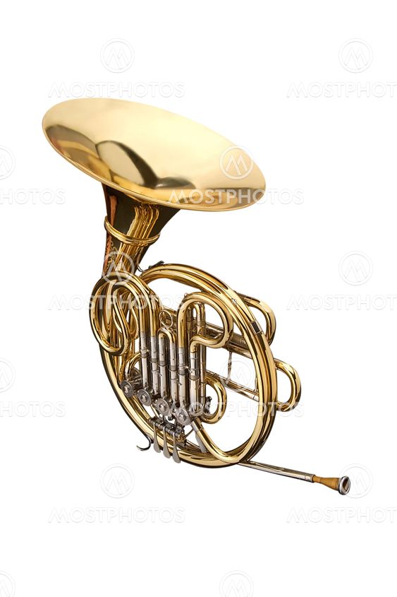 Horn.