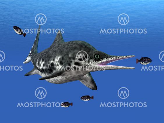 Ichthyosaur Stenopterygius