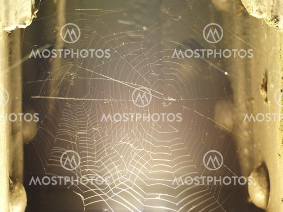 A spiderweb / Ein Spinnennetz