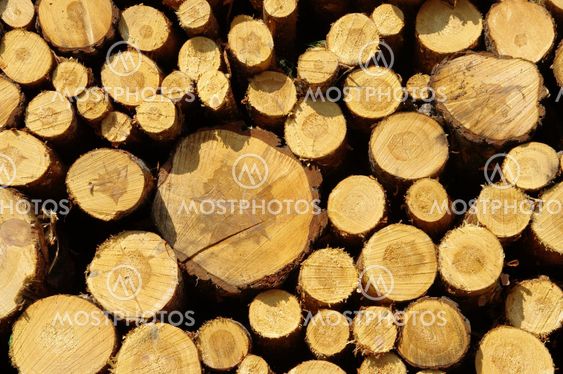 Holzstapel - stack of wood 34