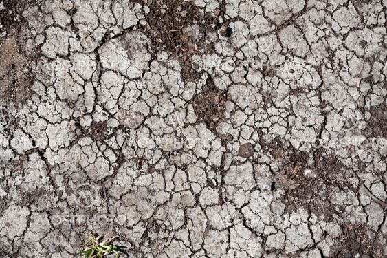 Dry land