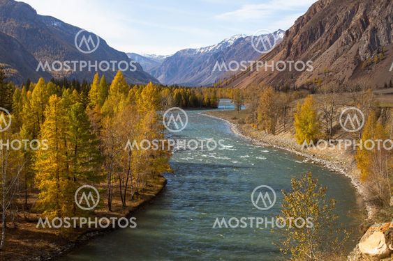 Katun River at autumn in Altai Republic, Russia.