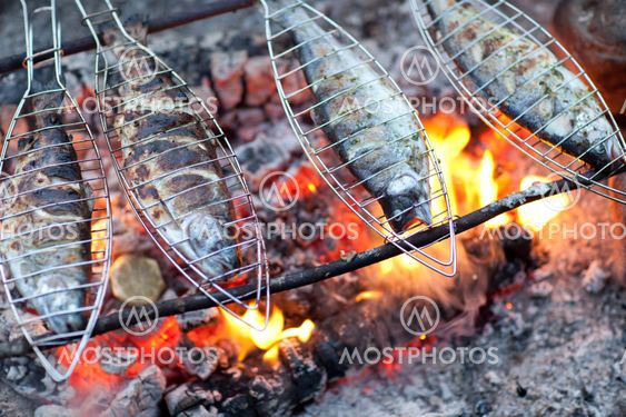 Grilling fish on campfire
