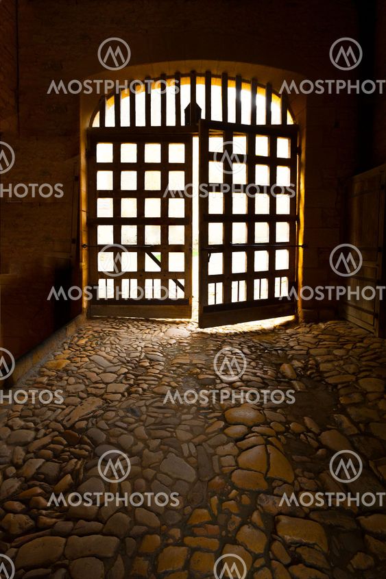 Medieval doors