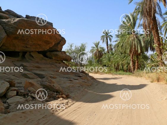 The road between Wadi Halfa and Khartoum.