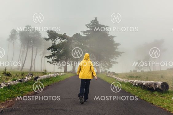 Walking on a foggy road