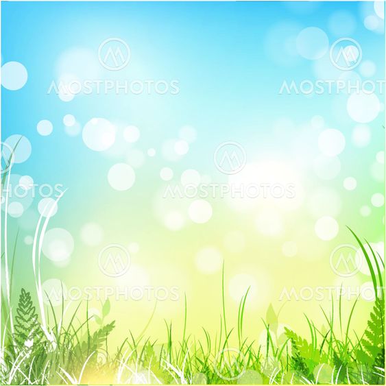 spring meadow