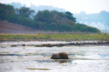 Lake, water and tourism with rocks, blue sky or trees...