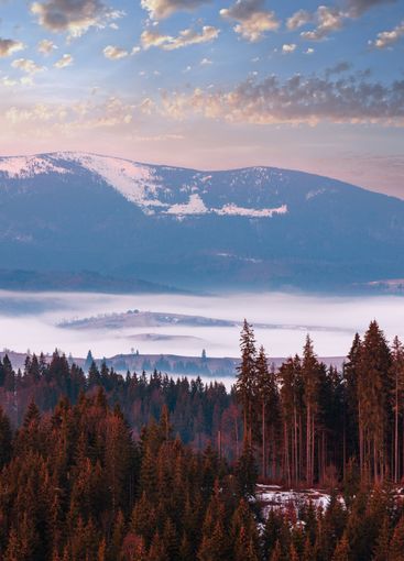 Early spring Carpathian mountains