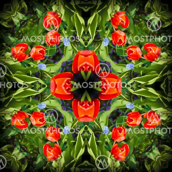 Square, kaleidoscope, a pattern from a photo of flowers...