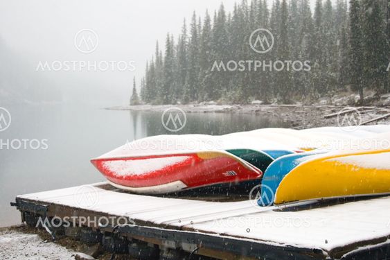 Snow and Winter Landscape