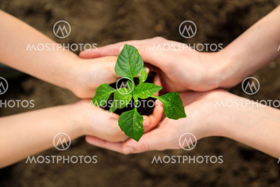 Theme of generations and family relationships. Adult and...