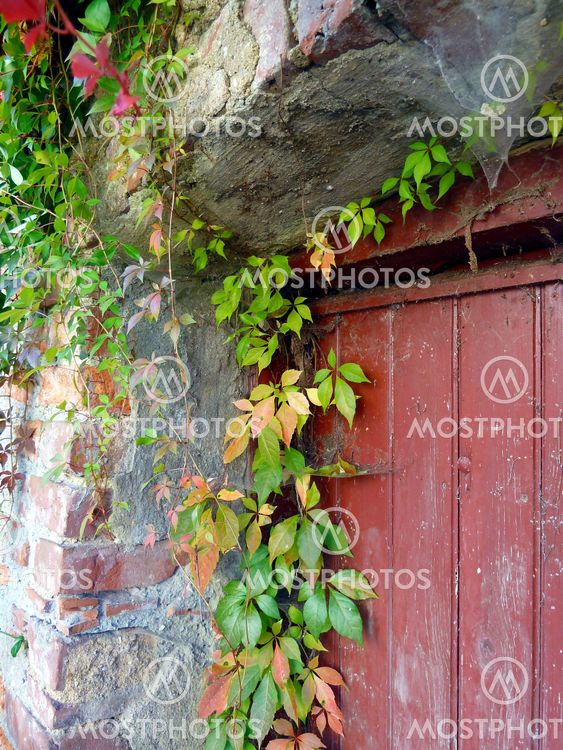 Autum is knocking on the door