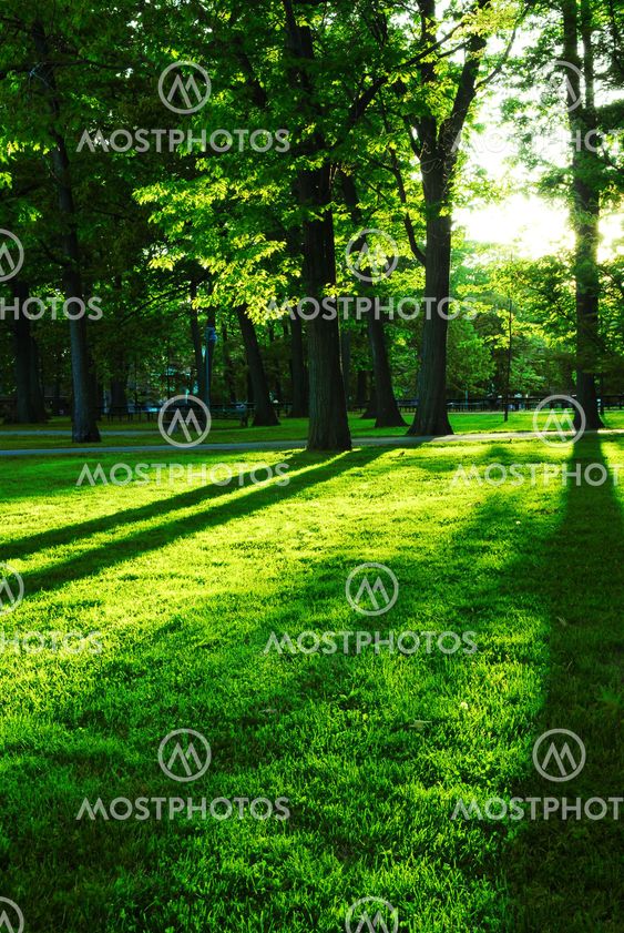 Green park