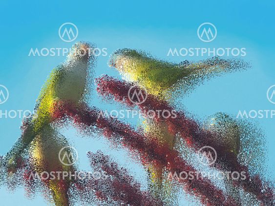 Atomic parrots