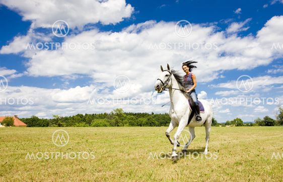 equestrian on horseback