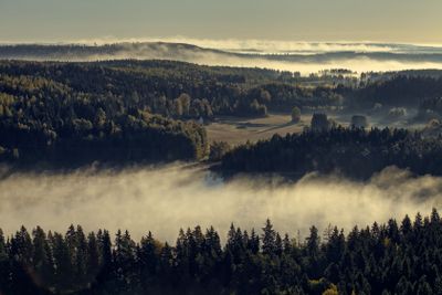 Foggy aerial view in the morning