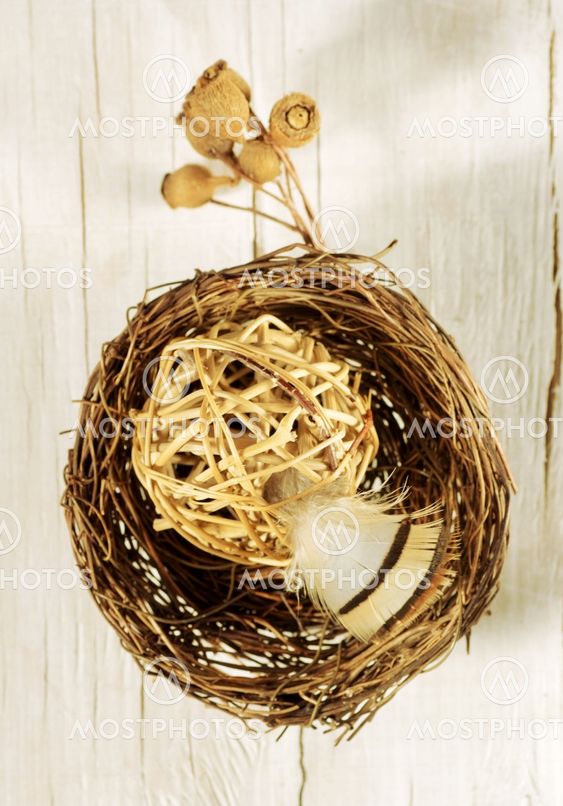spring and Easter decorative composition with feather,...