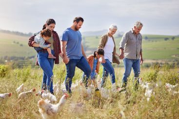 Family, children and holding hands at chicken farm, walk...