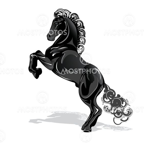 Black Horse