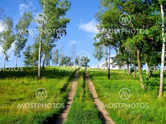 The dirt road leading up