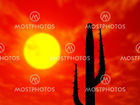 Desert scene